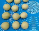 Foto langkah ke 4 dari resep Donat KILAT empuk (ide jualan).
