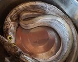 Foto langkah ke 1 dari resep Ikan Layur Kuah Santan Pedas.