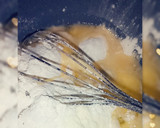 A picture of step 1 of Pancake.