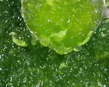 Foto langkah ke 5 dari resep Es Susu Pandan Jelly.