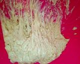 Foto langkah ke 2 dari resep Mexican Bun aka Roti Boy pre fermentation method.