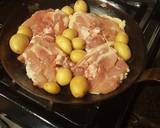 Harissa Chicken with Caramelized Leeks and Fennel recipe step 2 photo