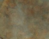 Foto del paso 5 de la receta: Tuco (tuco criollo)