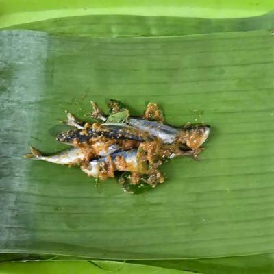 Langkah 4