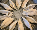 Foto del paso 7 de la receta: Gyozas caseras de boletus y cerdo
