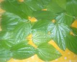 પાન મુખવાસ (Paan Mukhwas Recipe In Gujarati) રેસીપી સ્ટેપ3ફોટો