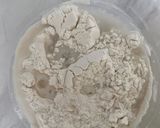 Kovászos kenyér recept fázis 1 fotója