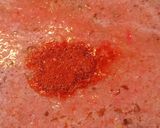 A picture of step 1 of Fry moong daal.