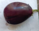 A picture of step 1 of Baingan Bhaja.