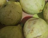 Foto del paso 1 de la receta: Guayabate