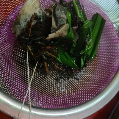 Langkah 5