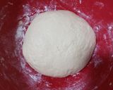Foto del paso 2 de la receta: Pan amasado de nutrina o semolina (opción 5)