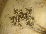 Conserva de pepinos. Fácil, ideal para