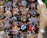 صورة لخطوة 11 من وصفة كوكيز رأس السنة - New Year's Cookies