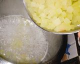 A picture of step 5 of Tuttifrutti from leftover watermelon rinds.