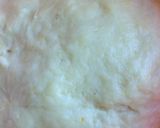 Foto del paso 2 de la receta: Pancitos de leche dulces