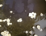 Foto del paso 3 de la receta: Bacalao en salsa verde