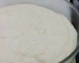 Coconut and Milk Powder Burfi recipe step 2 photo