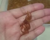 Foto langkah ke 6 dari resep Abon jamur.