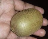 कीवी कॉकटेल (Kiwi cocktail recipe in Hindi) रेसिपी चरण 1 फोटो