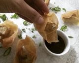 A picture of step 8 of Chicken wontons.