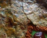 A picture of step 2 of Spring Onion methi paratha.