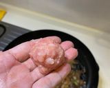 醬燉肉丸子的食譜步驟2照片