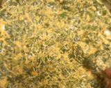 મેથી પકોડા (methi pakoda recipe in gujarati રેસીપી સ્ટેપ2ફોટો