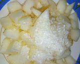 A picture of step 2 of Melon Chat.