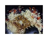 A picture of step 5 of Sweet Savoury Noodles.