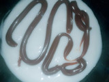 Postre echo con maicena!!!!!😀😀😀😀😀