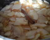 Foto del paso 4 de la receta: Dulce de Manzana sin azúcar