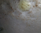 Foto langkah ke 2 dari resep Telur Dadar Kecap Lezat.