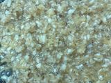 Coconut mithai