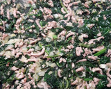 Foto del paso 1 de la receta: Tallarines con espinacas