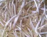 Foto langkah ke 2 dari resep Sayur Urap ala mom gebi.