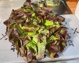 Une image de l'étape 1 de Salade feuille de chêne aux pignons de pin, mozzarella et persil.