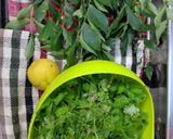 A picture of step 1 of Pudina, curry leaves coriander chutney.