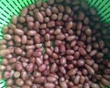 Hình bước làm 1 của món Lạc rang húng lìu ( ngũ vị hương)