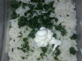 سلطة فردية