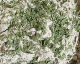 சத்தான கேழ்வரகு அடை (Kelvaragu adai recipe in tamil) ரெசிபி ஸ்டேப் 4 புகைப்படம்