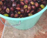 Foto del paso 5 de la receta: Aceitunas con aliño casero
