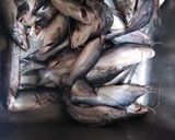 Foto del paso 1 de la receta: Viudo de Nicuro
