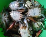 Foto langkah ke 1 dari resep Kepiting bumbu rasa tambah By bubu #ketopad_cp_seafood #keto.
