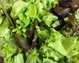 Foto langkah ke 3 dari resep Symphony Lettuce Salad.