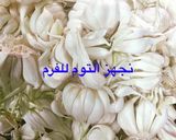 صورة لخطوة 1 من وصفة تخزين الثوم