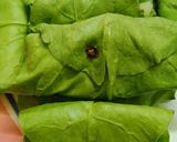 A picture of step 4 of Spinach rolls.
