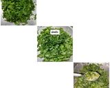 પાલક ના મુઠીયા (Palak Muthia Recipe In Gujarati) રેસીપી સ્ટેપ1ફોટો