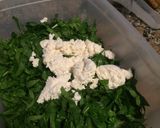 Foto del paso 4 de la receta: Canelones de Verdura