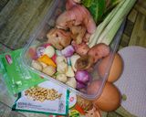 Foto langkah ke 1 dari resep Ayam Goreng Lengkuas.